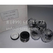 Торцевые уплотнения BS MG1-10